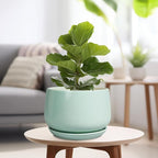 G EPGardening Ceramic Pots for Plants - 9 Inch Ceramic Planter with Drainage and Saucer, Round Planter for Indoor Outdoor Plants, Modern Flower Pots, Garden Decor, Birthday Gifts, Green