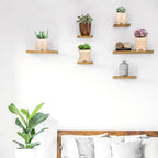 Domensi 2 Pcs Swing Hanging Planter Cute Smile Flower Face Pot Indoor Outdoor Pots for Succulent String of Pearls Plants Plant Ideal Gifts for Christmas Birthday(Sit Mixed Shapes,Small)