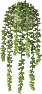 Artificial Plants Greenery, String of Pearls, Green Plastic, 15 Inch