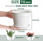 T4U 7.5 Inch Plant Pots 6 Pcs, Flower Pots for Plants, Plastic Planter Pots for Indoor Plants with Drainage Holes and Saucer (6 Pcs, 7.5", White)