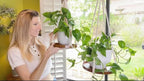2 Pack Macrame Plant Hanger | Plant Hanger Indoor, Hanging Planter Shelf | Hanging Planter (Black) (1 Large + 1 Medium)