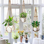 3 Pack Macrame Plant Hanger,Hanging Plant Holder, Boho Home Decor Hanging Basket with Wood Beads,Hanging Planters for Indoor Plants,Plant Hanger Indoor 35"/29"/23" Brown (POTS NOT Included)