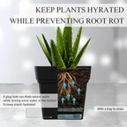 6-Pack 7'' Square Planters with Built-in Drainage Tray – Heavy-Duty Black Plastic Planter with Drainage Hole and Bottom Stopper, BPA-Free Plant Pots Matte Finish for Indoor Outdoor