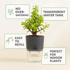 Self Watering Planter Pot with Upgraded Wick System – Modern Indoor Plant Pot with Visible Water Reservoir