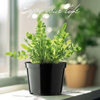BTPLASTIK 15 Pack 6 Inch Plastic Plant Pots with Drainage Holes, Sturdy Nursery Pots for Plants, Thickened Flower Pots for Indoor Outdoor Planting Transplanting, Succulents, Seedlings, Black
