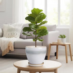 Ceramic Pots for Plants - 8 Inch Planter with Drainage Hole and Saucer, Round Flower Pot for Indoor Outdoor Plants, Decorative Planter, House Patio Decor, Housewarming Gifts, White-Grey
