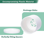 Planter Pots 12 Pack, 3 Inch Matte White Plastic with Saucers