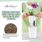 Lechuza 14903 Deltini Self-Watering Planter for Indoor and Outdoor Use, 6" x 6" x 7", Charcoal