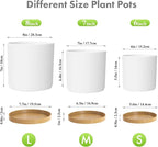 8/7/6 inch Plant Pots, 3 Pack Cylinder Flower Pots for Outdoor Indoor Plants, Decorative Plastic Planters with Drainage Holes and Saucers for Garden House Plants, White with Brown