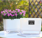 FAMZ Self Watering Planters 4 Pack，Self Watering Pots for Indoor Plants，Automatic Moisturizing，Transparent Square Flower Pot for Indoor and Outdoor Plants，Succulents，Violets，Ivy