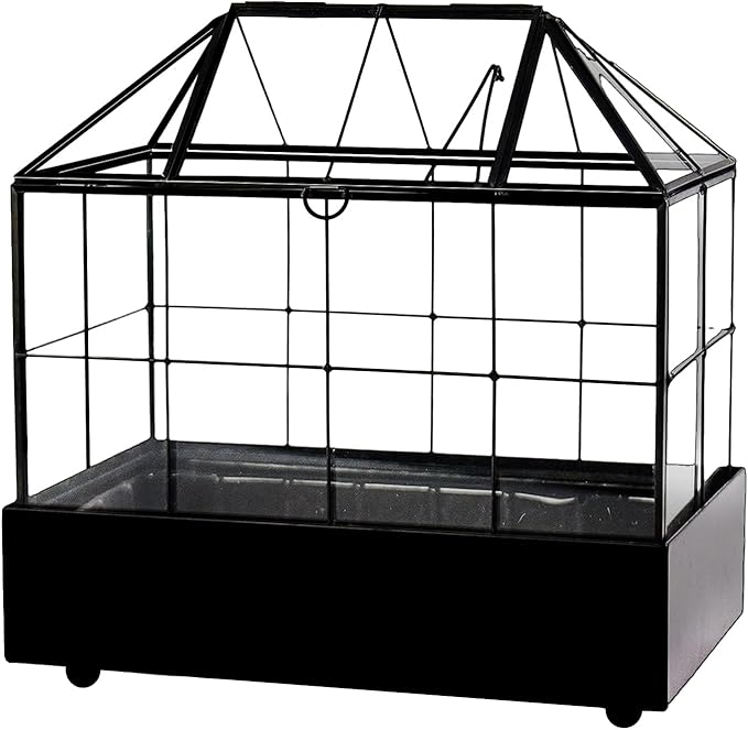 Terrarium House Shape Glass Greenhouse with Black Brass Frame and Tray