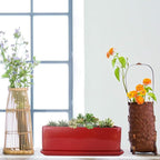 Vencer 12 Inch Rectangular Modern Minimalist Ceramic Succulent Planter Pot - Window Box with Saucer,Office Desktop Potted Stand,Red,VF-0135R