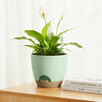 Plant Pots 8/7.5/7/6.5/6 Inch Self Watering Pots,5 Pack Planters with Drainage Holes and Saucers,Plastic Flower Pots,Nursery Planters for Indoor Outdoor Plants (Green)