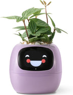 Smart Planter Pot with Automated Watering, Purple Plastic