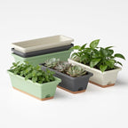 Window Box Planter, 6 Pack Plastic Vegetable Flower Window Planters Boxes 16 Inches Rectangular Flower Pots with Drainage Holes and Saucers (Mixcolor)