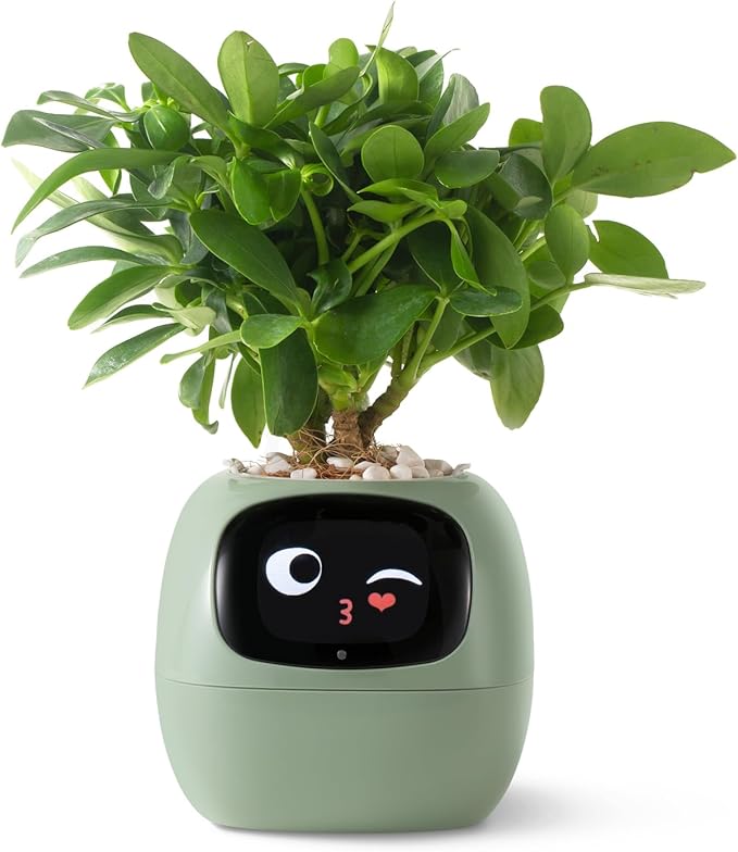 Planter, Green Plastic Smart Pot with Automated Watering and App Control