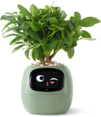 Planter, Green Plastic Smart Pot with Automated Watering and App Control