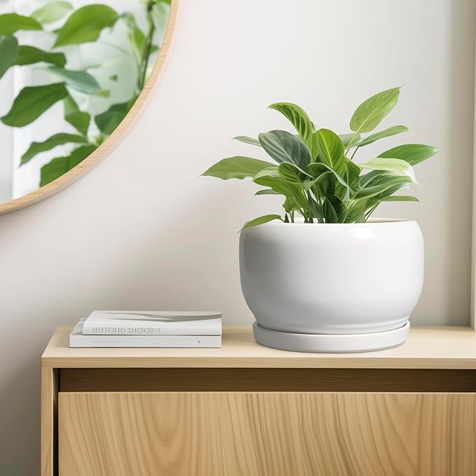 SQOWL Ceramic Pot for Plants - 10 Inch Planter with Drainage Hole and Saucer, Round Ceramic Flower Pot for Indoor Outdoor, Modern Decorative Large Planter, Patio Decor, Gifts for Plant Lovers, White