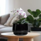 G EPGardening Ceramic Planter 7 Inch - Ceramic Pot for Plants with Drainage and Saucer, Round Plant Pots, Modern Indoor Outdoor Planter, Home Decor, Garden Gifts, Black