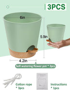 Aulock 6in Self Watering Pots for Indoor Plants - 3pcs Bottom Watering African Violet Planters with Drainage, Plastic Houseplant Flower Pots for Snake Plant Succulent Garden Live Plants
