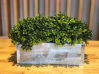 Wood Planter Box with Tin Style, 12x4 Inch Rectangular, Whitewash, Plastic Liner, Garden Centerpiece Display, Wedding Flowers Holder, Home and Venue Decor (12x4 w/ Tin Set of 4, Whitewash)