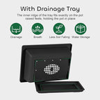 Rectangle Bonsai Pots, 3 Pack 6.5 Inch Black Plastic with Drainage Trays