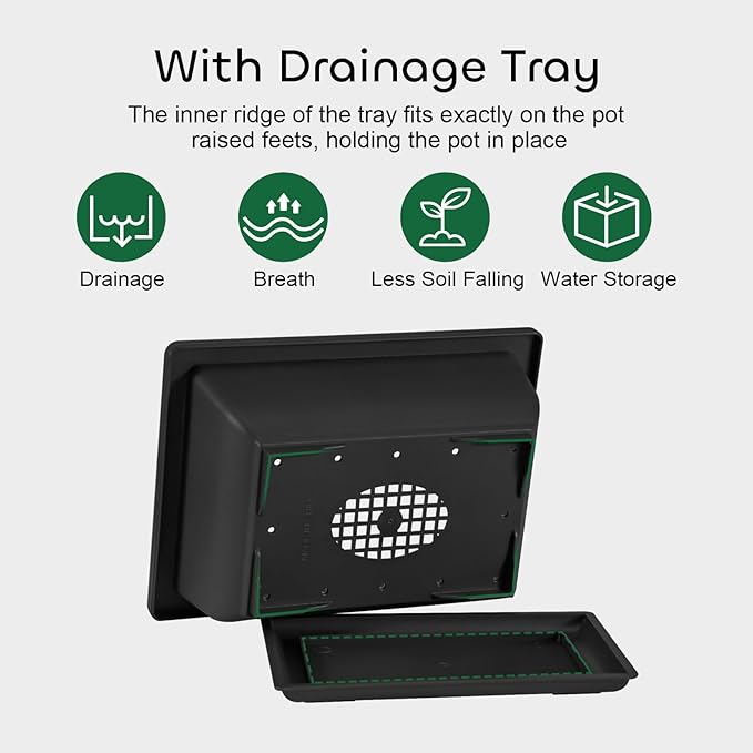 Rectangle Bonsai Pots, 3 Pack 6.5 Inch Black Plastic with Drainage Trays
