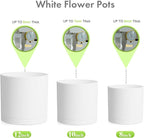 12/10/8 inch Large Plant Pots, 3 Pack Deep Cylinder Flower Pots for Outdoor Indoor Plants, Tall Plastic Planters with Drainage Holes and Saucers for Garden House Plants, White