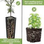 DredQcco Tall Deep Tree Pot, 50Pcs Plastic Plant Seedling Treepots Tall Flower Plant Container Starting Pots with Drainage Holes Flower Container for Indoor Outdoor Garden Plants 9.8" H x 4.7" W
