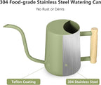 Watering Can Indoor Plants, 35oz Small Indoor Stainless Steel Metal Watering Can Modern Decorative Watering Pot with Long Spout for Indoor House Plant Bonsai Garden Flowers (Sage Green)