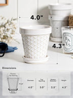 LE TAUCI Ceramic Succulent Pots, 4 Inch Small Plant Pot for Indoor Plant Cactus, Embossed Flower Pots with Drainage Hole & Saucer - Set of 4, Arctic White