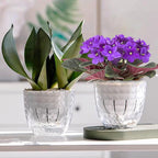 2 Pack 6 inch Self Watering Pots Planters for Indoor Plants, African Violets Pots with Wick Rope, Modern Plastic Nursery Pots for All House Plants,Flowers Succulents,Herbs,Cactus,Orchids