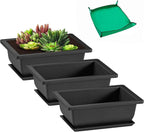 Rectangle Bonsai Pots, 3 Pack 6.5 Inch Black Plastic with Drainage Trays