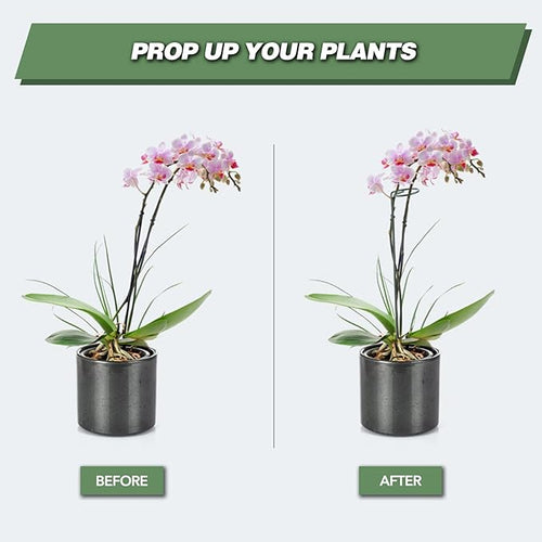 12 Pack Plant Support Stakes 24 Inch – Rose, 24in
