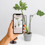 10-Pack Monstera Plant Support - 12 Inch Durable Iron U-Shaped Trellis Stakes for Indoor & Outdoor Medium-Sized Potted Plants - Perfect Stem Holder for Monstera & More