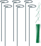 6PCS Single Stem Plant Support Stakes, 16 Inch Monstera Plant Support with 50 PCS Twist Ties, Garden Open Ring Plants Stake, Versatile Plants Stakes for Amaryllis, Rose, Tomatoes, Lily, Peony, Orchid