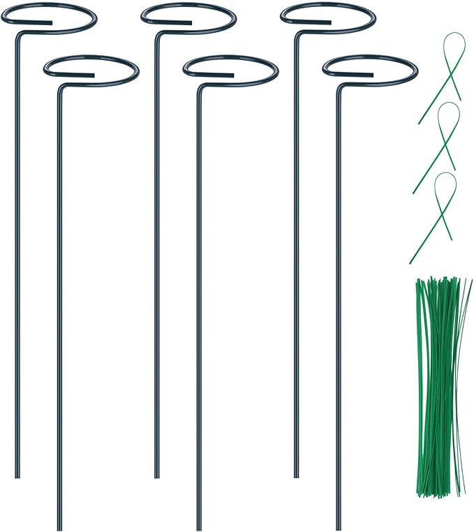 6PCS Single Stem Plant Support Stakes, 16 Inch Monstera Plant Support with 50 PCS Twist Ties, Garden Open Ring Plants Stake, Versatile Plants Stakes for Amaryllis, Rose, Tomatoes, Lily, Peony, Orchid