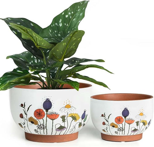 & 6 Inch Terracotta Plant Pots, 8 Inch, French Country