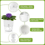 Planterhoma 3 Pack Self Watering Pots for Indoor Plants, 6 Inch Plant Pot Plastic Self Watering Planter for Orchid, African Violet, Small Clear Flower Pots with Drainage Holes and Wicking Rope, White