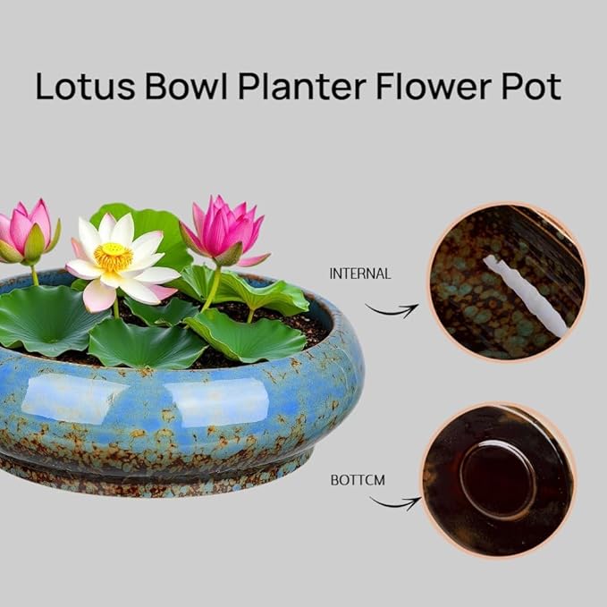 7.3 Inch Succulent Planters Pots Shallow Ceramic Glazed Planter Pots, Lotus Bowl Planter Round Shallow Planter Water Lily Pot for Indoor/Outdoor Plants Decorative (Blue)