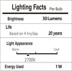 String Lights 50 FT with 25 Shatterproof G40 Warm White LED Bulbs