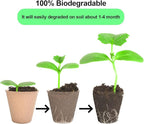 JERIA 100-Pack 3.15 Inch Peat Pots for Seedling with 100 Pcs Plant Labels,Outdoor Garden Germination Nursery Pots,Biodegradable Seed Starter Pots Kits