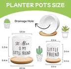 Say Aloe to My Little Friend Planter Pot, Funny Plant Pots, Aloe Plant Pot Succulent Pots with Tray Set of 2 Flower Pots Indoor Pot - Without Plants, Office Home Windowsill Gifts (No Plant)
