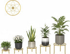 5 Pack Metal Plant Stands 5-Pack Round Supports Display Rack Tiered Plant Stand Shelf For Indoor Outdoor Multiple Plants Decoration Rack Shelf for Home