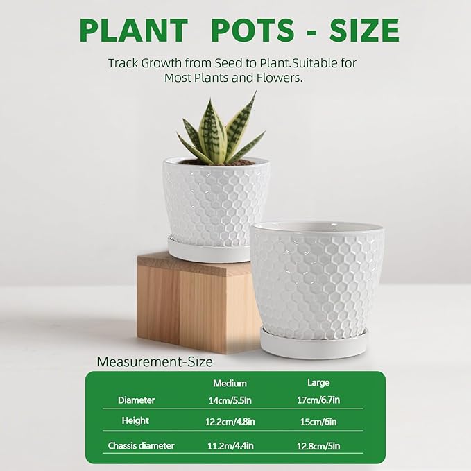 Docrin Ceramic Plant Pots Set of 2 (6.6"+5.5"), High-Fired Clay Indoor Planters with Drainage Holes & Saucer, Honeycomb Modern Home Decor for All House Plants