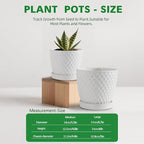 Docrin Ceramic Plant Pots Set of 2 (6.6"+5.5"), High-Fired Clay Indoor Planters with Drainage Holes & Saucer, Honeycomb Modern Home Decor for All House Plants