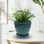 7.5/6.5/5.5/4.9/4.2/3.5 Inch Plant Pots with Saucers & Drain Holes - Indoor/Outdoor Flower Pots for Succulents, Herbs, Cactus - Modern Lightweight Durable Planter Set, Dark Green