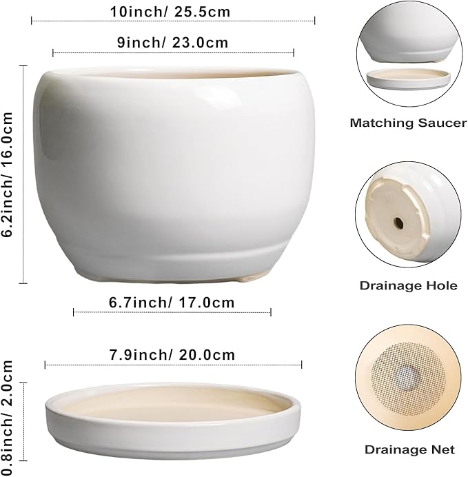 SQOWL Ceramic Pot for Plants - 10 Inch Planter with Drainage Hole and Saucer, Round Ceramic Flower Pot for Indoor Outdoor, Modern Decorative Large Planter, Patio Decor, Gifts for Plant Lovers, White