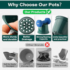 BTPLASTIK 15 Pack 6 Inch Plant Pots with Drainage Holes, Sturdy Plastic Nursery Pots for Plants, Thickened Flower Pots for Indoor Outdoor Planting Transplanting, Succulents, Seedlings, Green