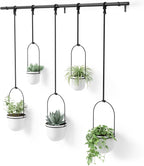 Umbra Triflora Hanging Planter for Window, Indoor Herb Garden, Set of 5, White/Black